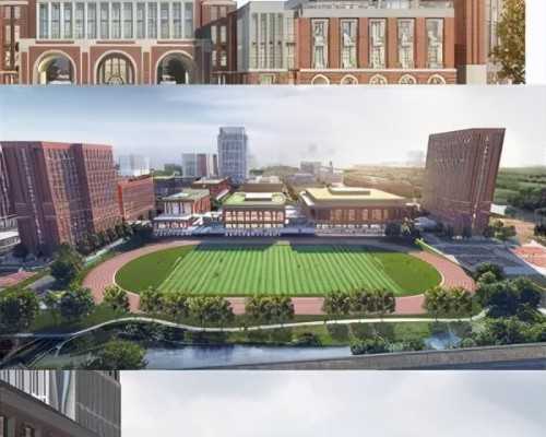 权威生殖中心：三甲医院辅助生殖技术解析