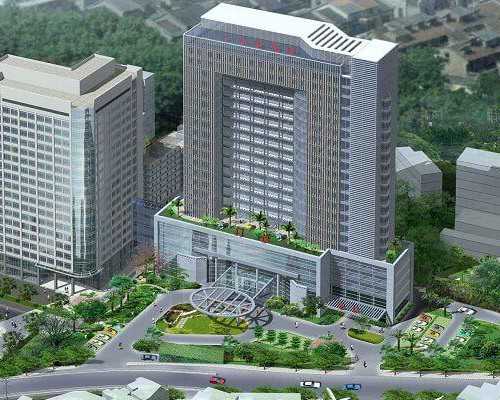 寻找生育支持：代怀中心与辅助生殖流程详解